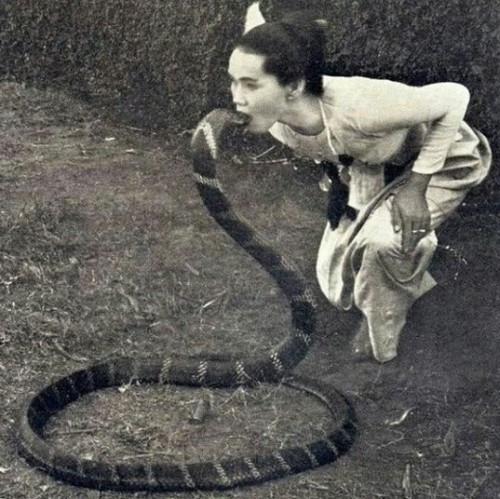 serpentattoo: the woman : the serpent