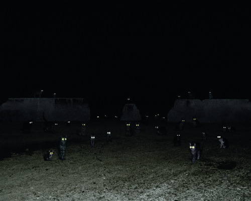 Andrea Galvani (Italian, b. 1973, Italy)  - 1: N-1 #1, 2005-2007  2: The Intelligence of Evil #5, 20