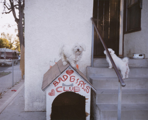 seaofempties: Los Angeles