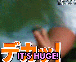 sgkaylee:  koboreta-hoshi:  Tegoshi and bugs.  MTE. why can’t they be dogs? lol.