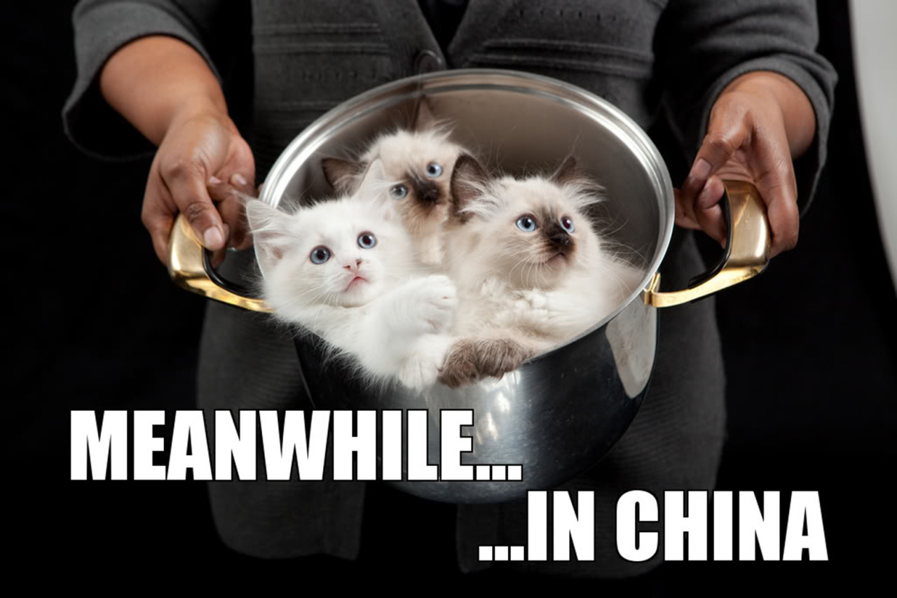 alfred-f-jones-world-hero:  Meanwhile in… 
