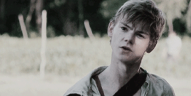 Newt, Newt, Newt,