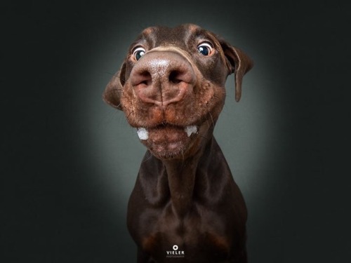 meesh33699: Derp!