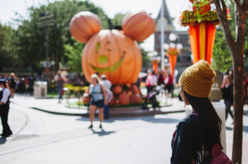 Halloween Time at Disney. Time to get spooky Instagram