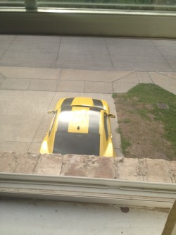 staticartillery:   So this little kid dressed in a Bumblebee costume came across my dads camaro which is yellow with black stripes and the little kid walked up to it saying “You’re not the real Bumblebee!” And then he slapped the front of the car