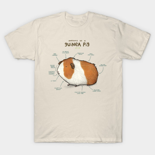 petshirts: Anatomy of a Guinea Pig T-ShirtAnatomy of a Guinea PigBuy now! | bit.ly/3aA2KzQ