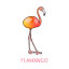 pinkflmango