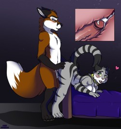 letsbefoxxy:  Straight foxes for le foxxys :P~Sabre ^~^ 