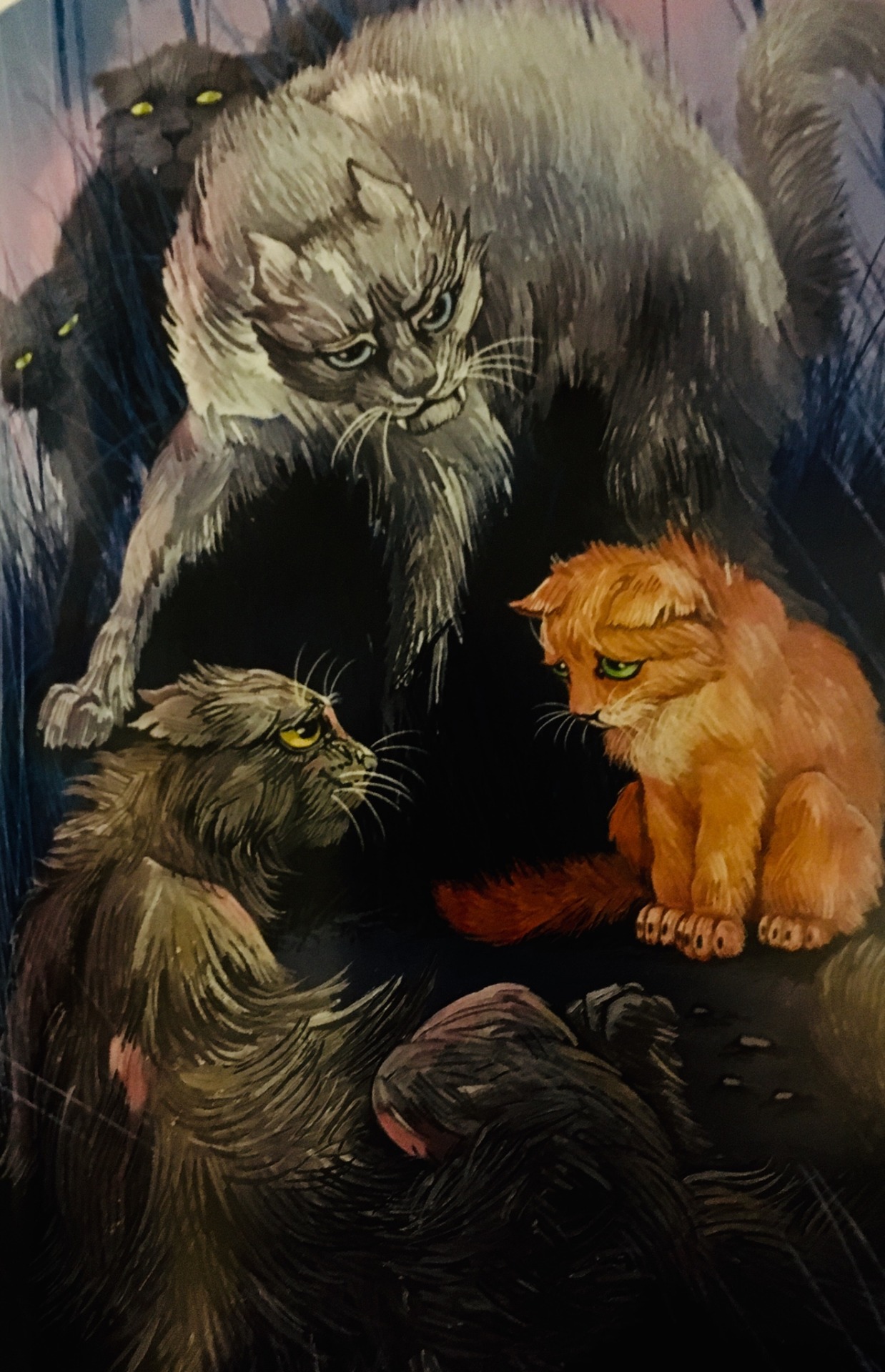 midnight's cave from the russian golden illustrations : r/WarriorCats