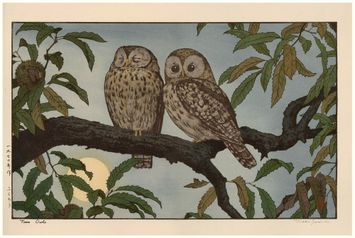 geritsel:Toshi Yoshida - Two Owls, color woodblock print