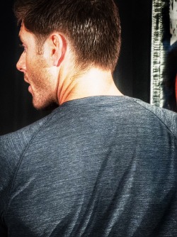 spn-idjits-guide-to-hunting:  Jensen Ackles / DallasCon2012 / Source 