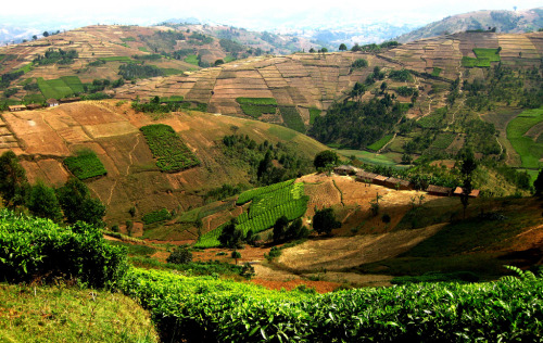 Burundi Countryside Photo by Jane Boles