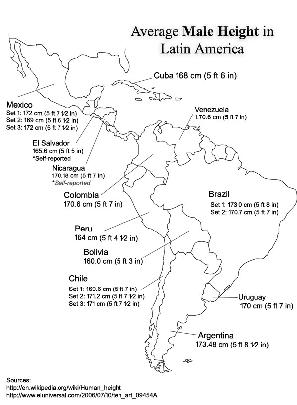 average male height