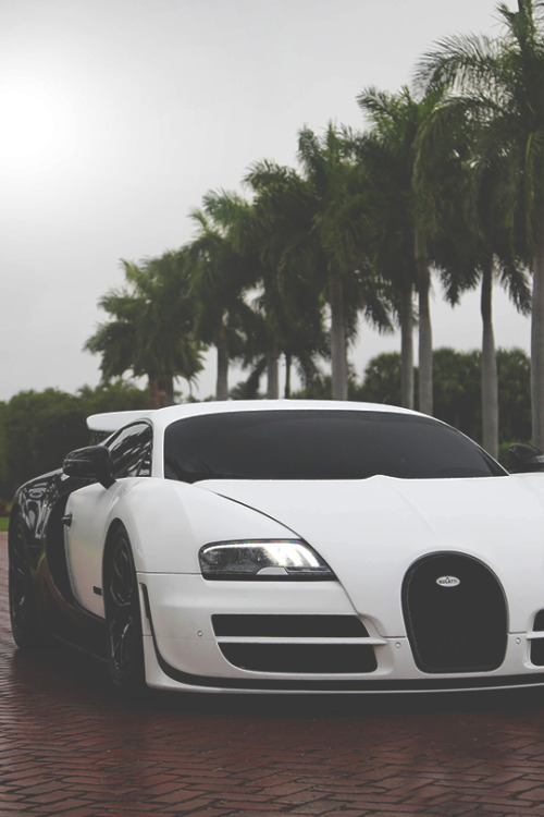 modernambition:  Pur Blanc | MDRNA