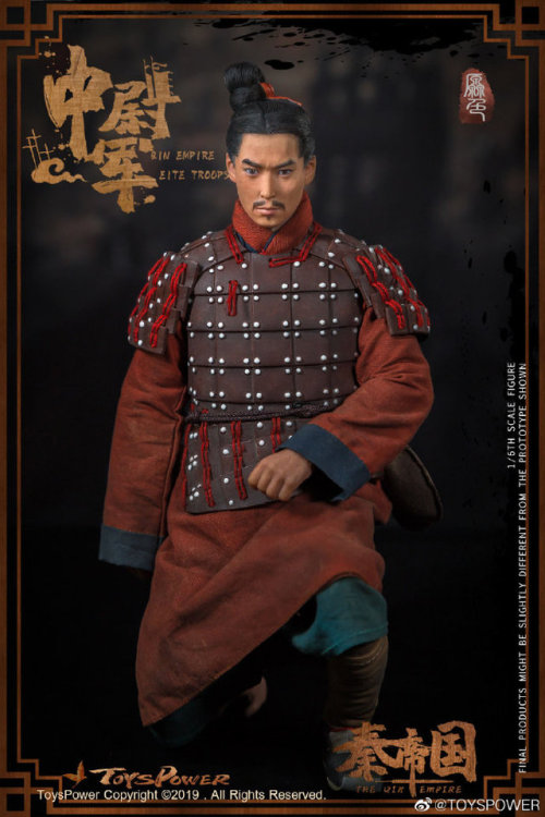 Dolls of soldiers of Qin dynasty |  The Terracotta Warriors by Toyspower