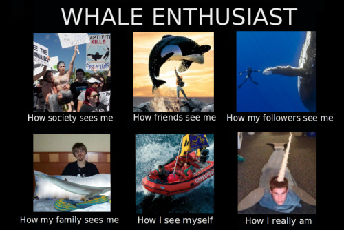 worldofwhales: