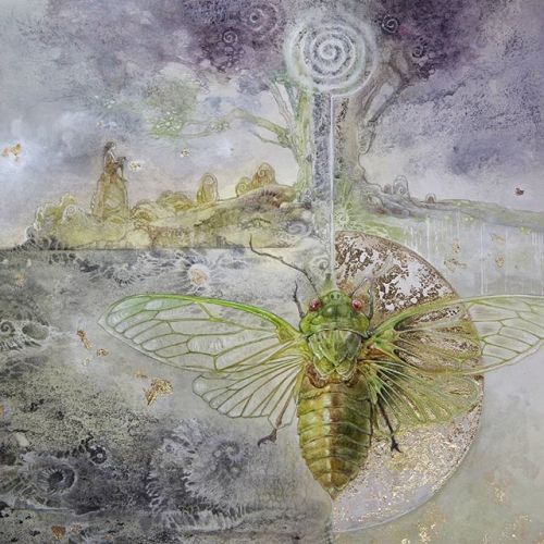 shadowscapes-stephlaw:“Cicada” from my Insecta series..#insects #beautiful #beautifulbugs #cicada #s