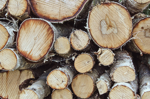 Wall of Logs