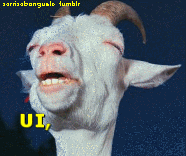 "fulando started following you" "fulano  reblogged you" "fulano asked you"