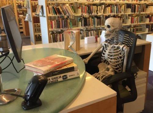 santamonicalibr: Why are skeletons so calm? Because nothing gets under their skin! Happy Halloween!