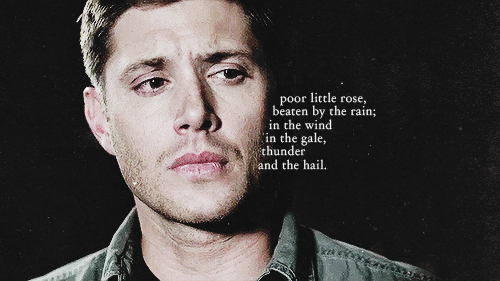 supernaturalwanderlust:  poor little rose. 