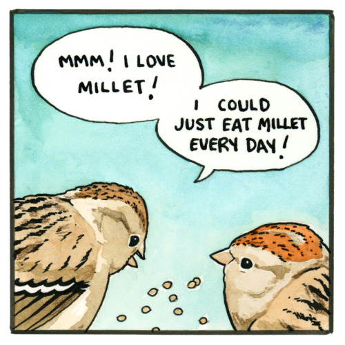 falseknees:HMRG