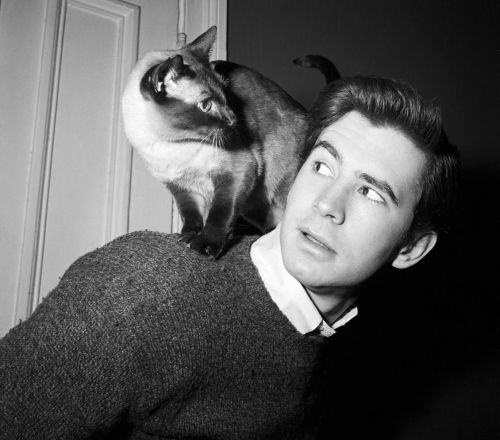  Anthony Perkins 