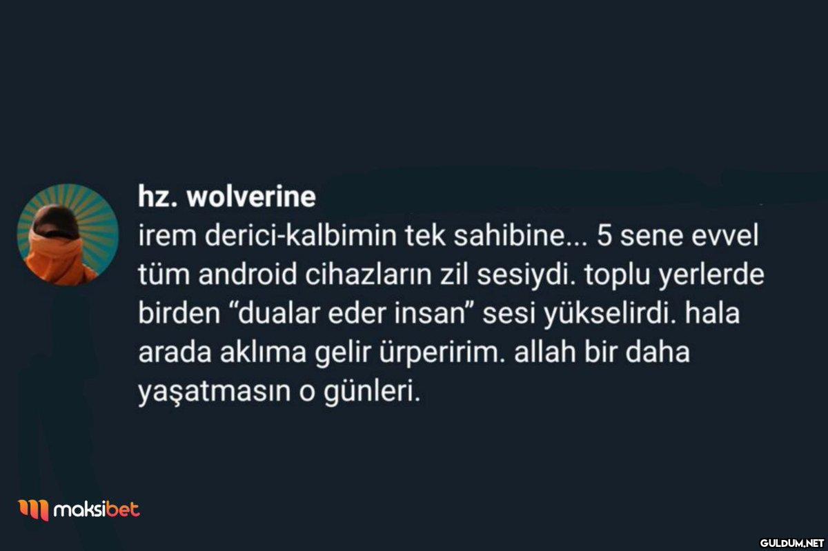 hz. wolverine irem...