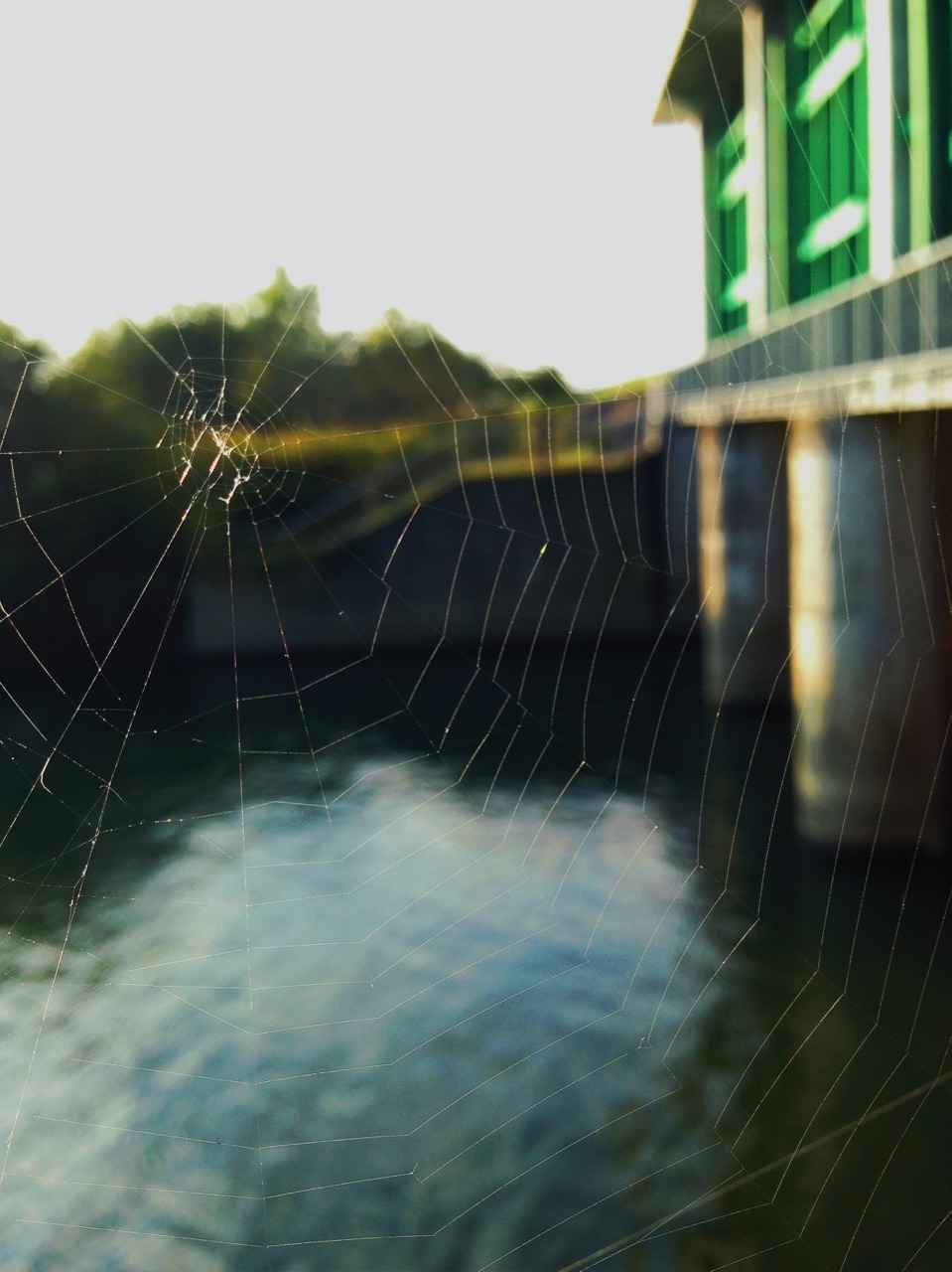 Web