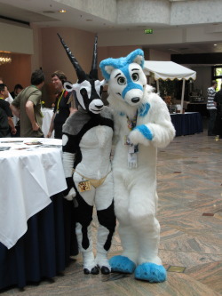 More pictures taken with other cute furries