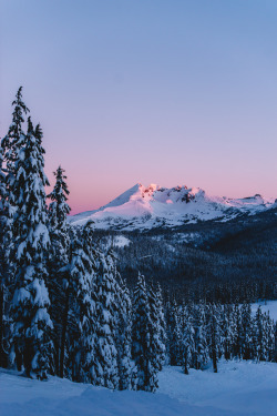 timberphoto:  coffee, mountains, snow, the