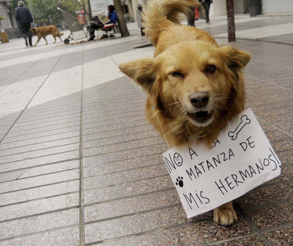 atunconquaker:aprendo-de-mis-errores:jaidefinichon:todos juntos por una  misma causa
