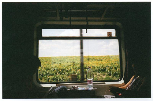 brutalgeneration:  Tumblr on We Heart It. http://weheartit.com/entry/26155832