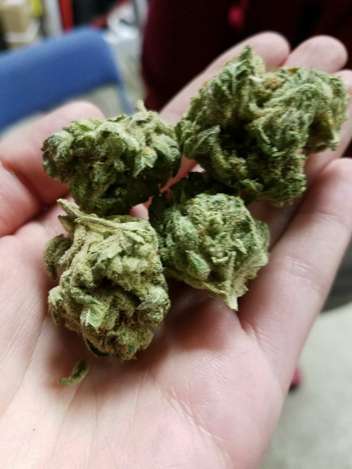 peacefulpothead:6 gram joint 😸😻