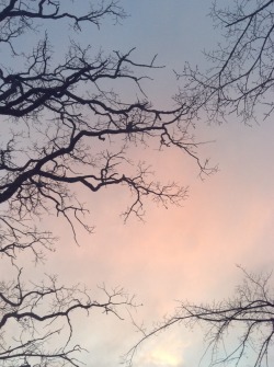 octkita:The afternoon sky has been beautiful lately