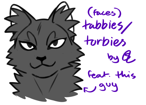 berrym00n: comprehensive guide to what i do when doing tabbies! of course you can go as simplistic o