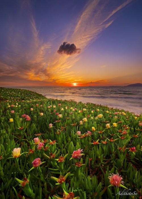 Most amazing pictures