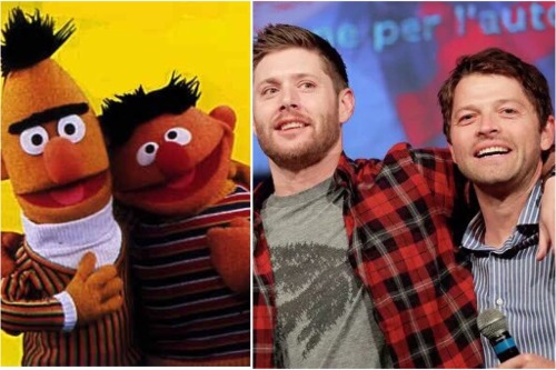 destielette:  “There are two things I know for certain: one, Bert and Ernie are gay” . . . . Credits : photo op 1 Photo op 2 photo op 3 Gifs : @mishasminions