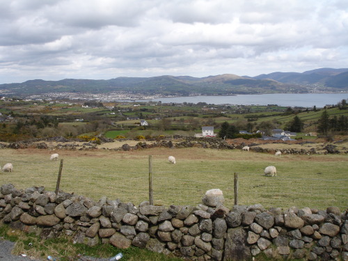 County Down and County Louth, Ireland