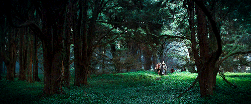 Academy Award Winners For Best Cinematography: 2002 — Andrew Lesnie, ACS, ASC The Lord Of The Rings: