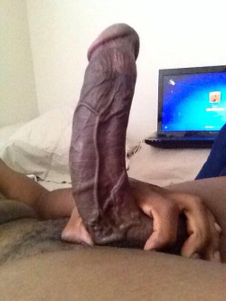 bitebienveinee:  Migthy cock with prominent veins 