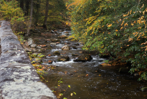 When you travel through Gatlinburg, TN to Cherokee, NC, you get the pleasure of seeing the creek run