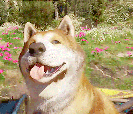 tumblr_pn80r9nEzT1vfci71o3_400.gif