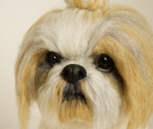 The name of the Shih Tzu dogs made with wool felt is Totti. We just another middle-aged, but it is s