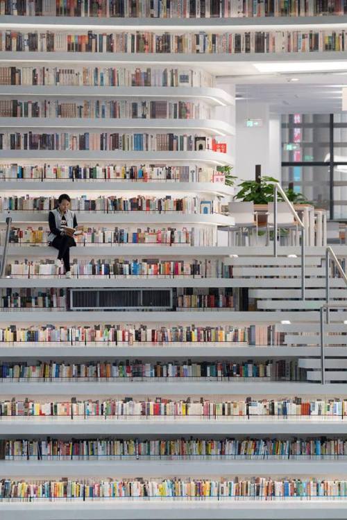 Porn brookbooh:  World’s Coolest Library in photos