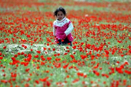 Sex edenandink:  salahmah:  Spring in Afghanistan pictures