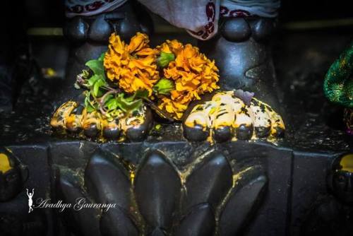 Bindu Madhava, Vishnu deity from Varanasi, photos by Aradhya Gouranga