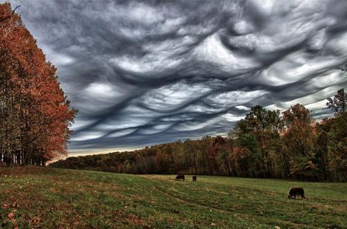 unicorn-meat-is-too-mainstream:   strange clouds  Various cloud formations might be one of the most beautiful and romantic sights in nature, but these masses of liquid droplets is also a complex and scientifically interesting phenomena. 