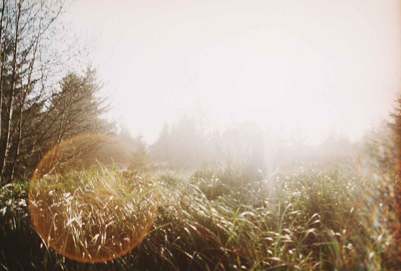 tastynate:    