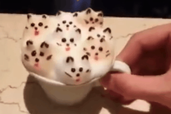 Porn photo awwww-cute:  Latte foam cats (Source: http://ift.tt/1P2cscJ)